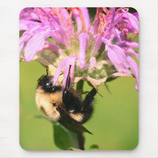 Bumble bei on bee balm Flower Muismat (Voorkant)