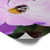 Bumble bei on roze Cosmos Flower Abstract Poster (Hoek)