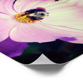 Bumble bei on roze Cosmos Flower Abstract Poster (Hoek)