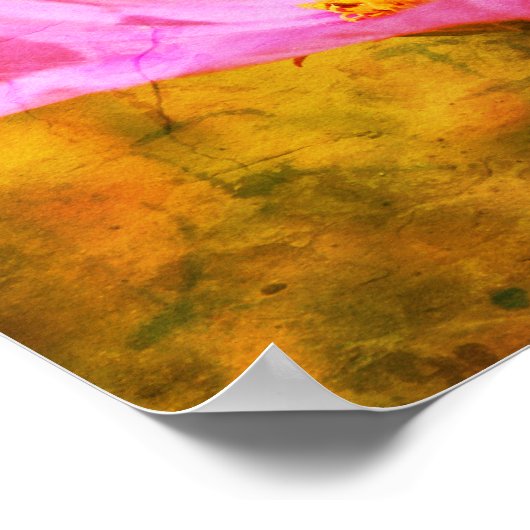 Bumble bei on roze Cosmos Flower Abstract Poster (Hoek)