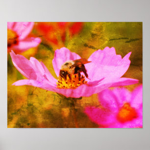 Bumble bei on roze Cosmos Flower Abstract Poster