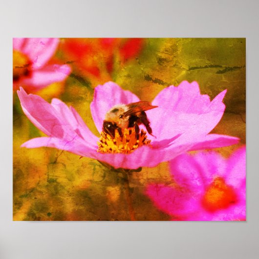 Bumble bei on roze Cosmos Flower Abstract Poster (Voorkant)