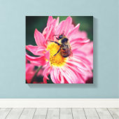 Bumble bei on roze Daisy Flower 2 Canvas Afdruk (Insitu (Houten vloer))