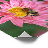 Bumble bei on roze Daisy Flower Abstract Poster (Hoek)