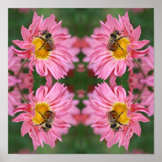 Bumble bei on roze Daisy Flower Abstract Poster (Voorkant)