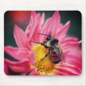 Bumble bei on roze Daisy Flower Muismat (Voorkant)