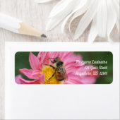 Bumble bei on roze Daisy Flower Natuur address Etiket (Insitu)