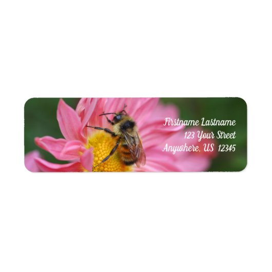 Bumble bei on roze Daisy Flower Natuur address Etiket (Voorkant)