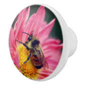 Bumble bei on roze Daisy Flower Up Keramische Knop (Rechts)