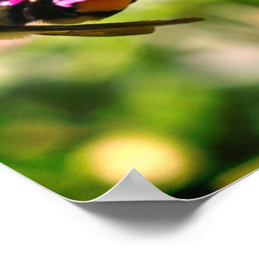 Bumble bei on roze flower close up poster (Hoek)