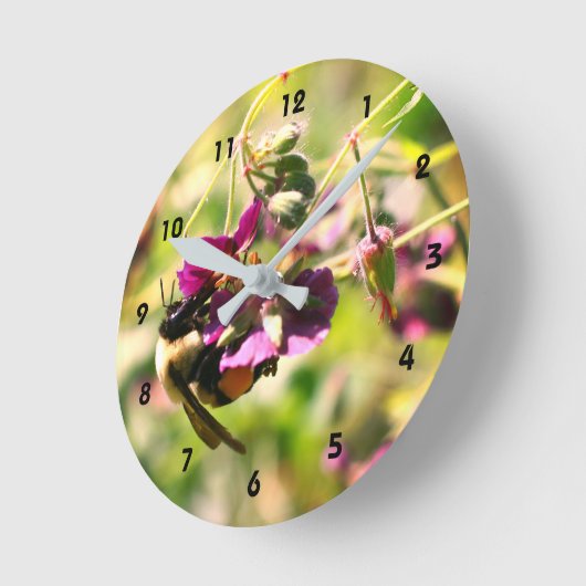 Bumble bei on roze flower close up  ronde klok (Hoek)