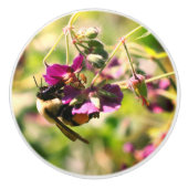 Bumble bei on roze flower keramische knop (Voorkant)