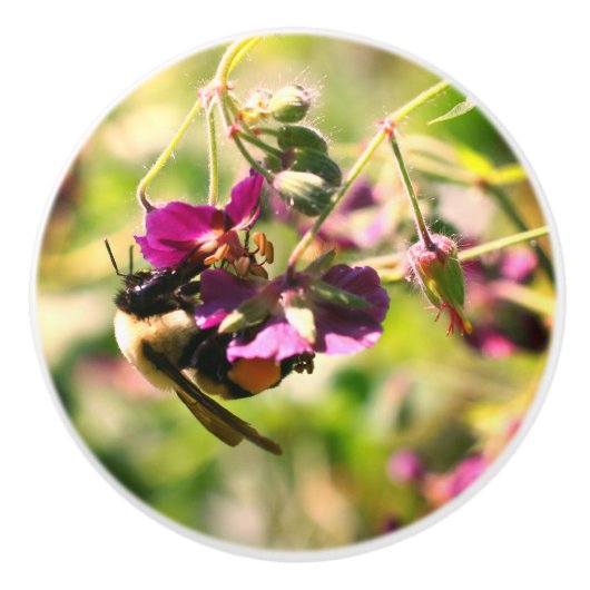 Bumble bei on roze flower keramische knop (Voorkant)