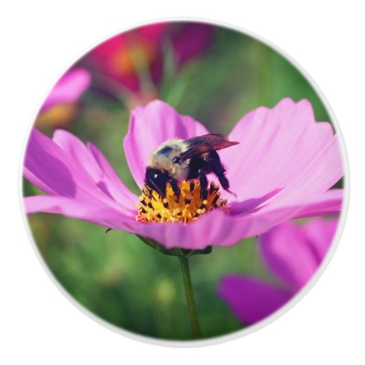 Bumble bei on roze kosmos keramische knop (Voorkant)