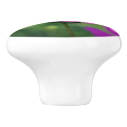 Bumble bei on roze kosmos keramische knop (Zijkant)