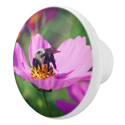 Bumble bei on roze kosmos keramische knop (Rechts)