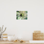 Bumble bei on White Clematis Flower Poster (Keuken)