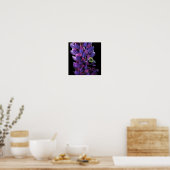 Bumble bei on Wild Lupine Flower Close Poster (Keuken)