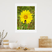 Bumble bei op een zonnebloem poster (Keuken)