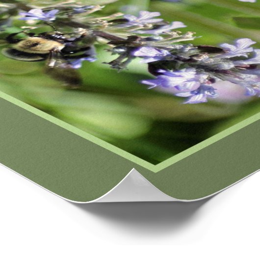 Bumble bei op Paarse ventilator Sluit Abstract Poster (Hoek)