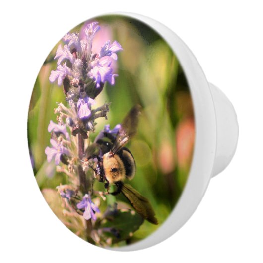 Bumble bek op Paarse ventilator dicht Keramische Knop (Rechts)