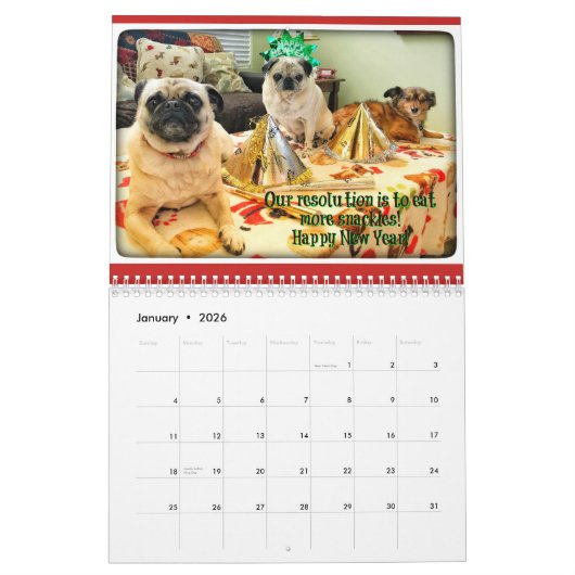 Bumble Bunch 2019 Calendar Kalender (Jan 2026)