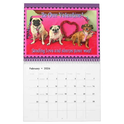Bumble Bunch 2019 Calendar Kalender (Feb 2026)