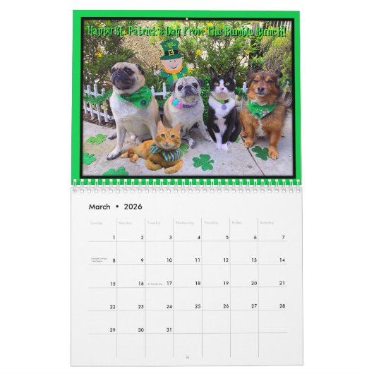 Bumble Bunch 2020 Calendar Kalender (Mar 2026)