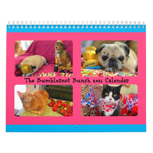 Bumble Bunch 2021 Calendar Kalender (Hoes)