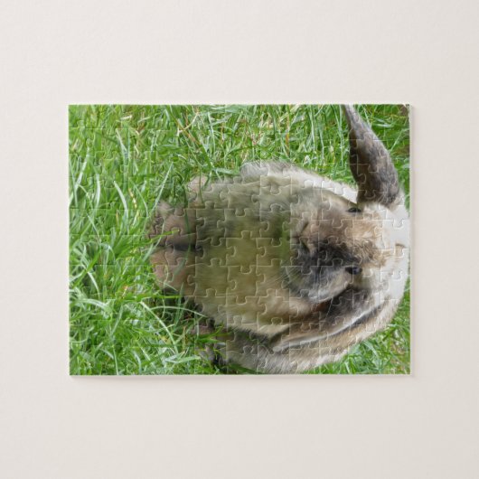 Bumble Rabbit Legpuzzel (Horizontaal)