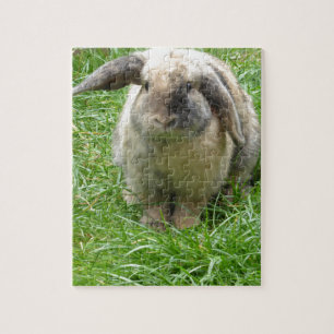 Bumble Rabbit Legpuzzel
