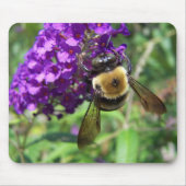 BumbleBee01 Muismat (Voorkant)