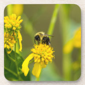 Bumblebee Bier Onderzetter (Voorkant)