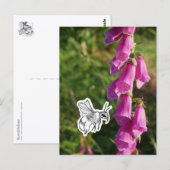 Bumblebee Briefkaart (Voorkant / Achterkant)