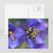 Bumblebee Close-up Briefkaart (Voorkant / Achterkant)