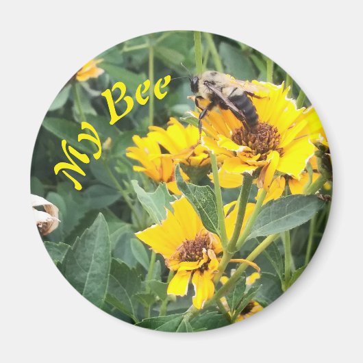 Bumblebee, die een gele bloem bestuift magneet (Voorkant)