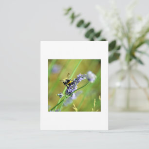 Bumblebee en lavender briefkaart