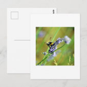 Bumblebee en lavender briefkaart (Voorkant / Achterkant)