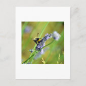 Bumblebee en lavender briefkaart (Voorkant)