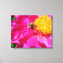 Bumblebee en Peony Canvas Afdruk