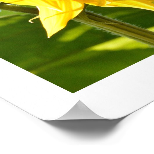 Bumblebee en zonnebloem poster (Hoek)