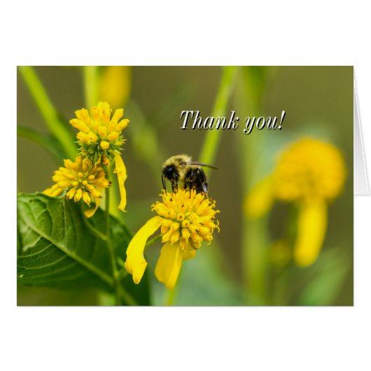 Bumblebee Hartelijk dank (Voorkant Horizontaal)