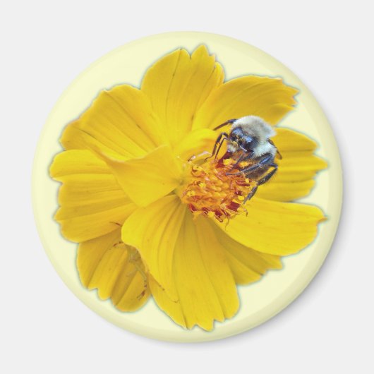 Bumblebee in Cosmos Magneet (Voorkant)