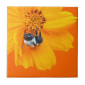 Bumblebee in Cosmos Tegeltje (Voorkant)