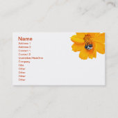 Bumblebee in Cosmos Visitekaartje (Voorkant)