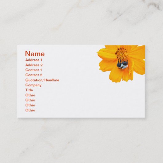 Bumblebee in Cosmos Visitekaartje (Voorkant)
