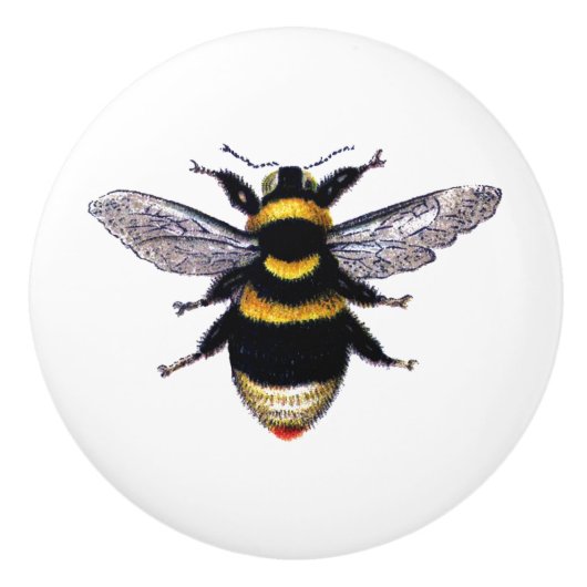 Bumblebee Keramische Knop (Voorkant)