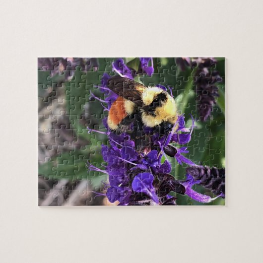 Bumblebee Legpuzzel (Horizontaal)