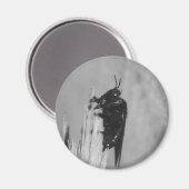 Bumblebee Magneet (Voorkant / Achterkant)