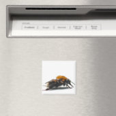 Bumblebee Magneet (Insitu (Vaatwasser))